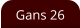 Gans 26