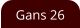 Gans 26